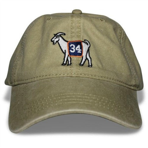 Auburn #34 GOAT Dad hat