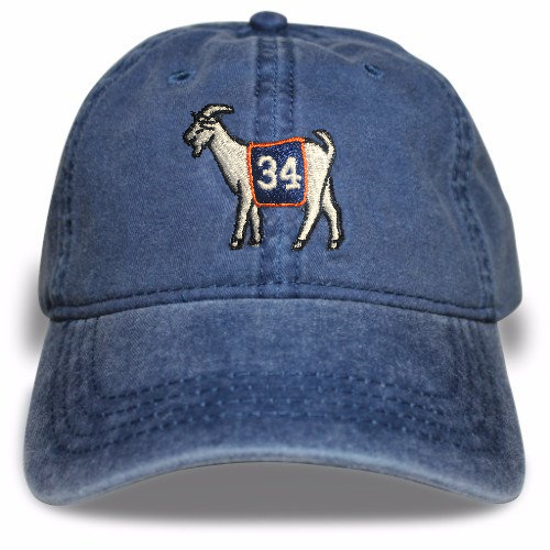 Auburn #34 GOAT Dad hat (Navy)